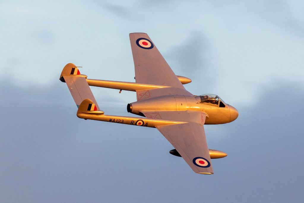 Vampires Paul Johnson Image Flightline UK